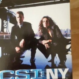 CSI New York season 1 episodes 1.13 to 1.23
