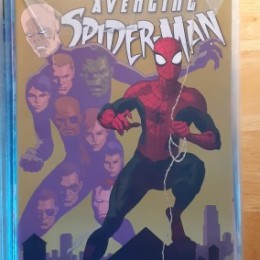 Avenging Spider-Man 021